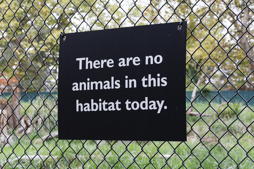 Woodland Park Zoo — photo 38
